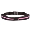 Stride Dual Pocket Running Belt: Secure and Convenient Storage for Active Lifestyles - Image 13